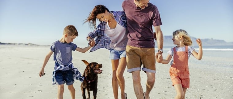 Animaux en vacances